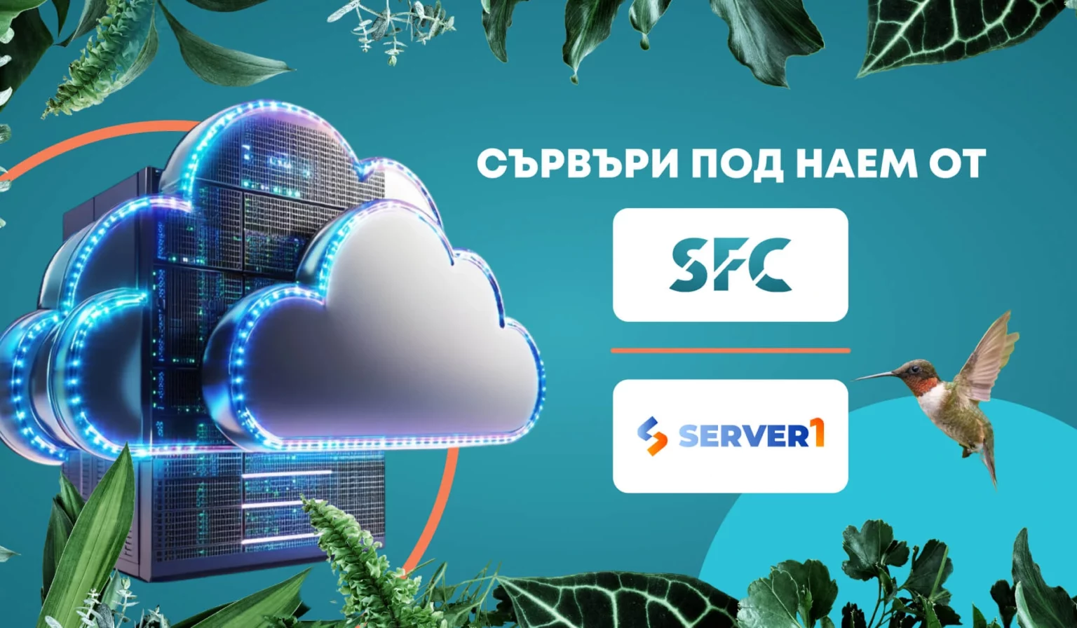 SFC и Server1 – сървъри под наем за вашия бизнес!